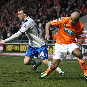 npower Football League Championship Collection: Blackpool v Millwall : Bloomfield Road : 09-02-2013