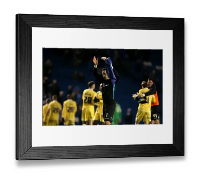 Framed Print : Millwall's David Forde Celebrates Championship Victory over Brighton & Hove Albion