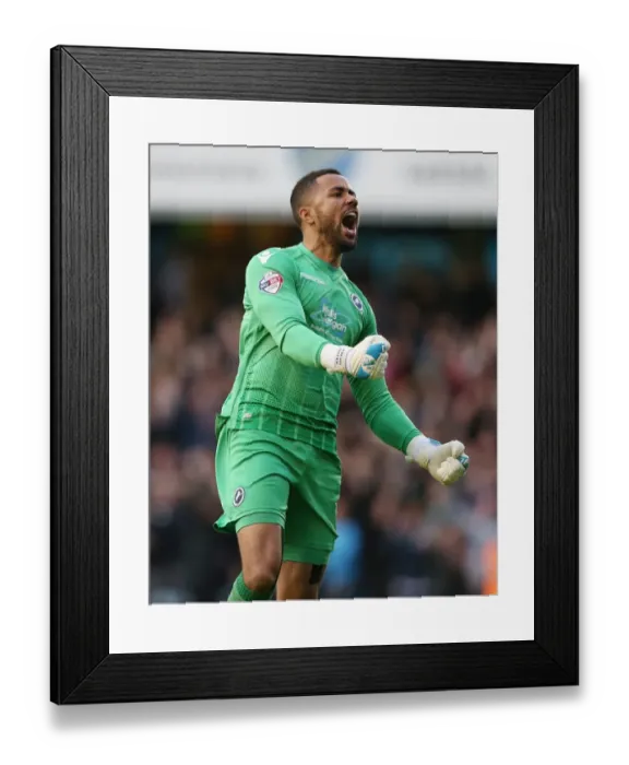 Framed Print : Millwall's First Goal: Jordan Archer and Lee Gregory Celebrate in Sky Bet League One Play-Off Semi-Final against Bradford City (Second Leg) Framed Print : Millwall's First Goal: Jordan Archer and Lee Gregory Celebrate in Sky Bet League One Play-Off Semi-Final against Bradford City (Second Leg)