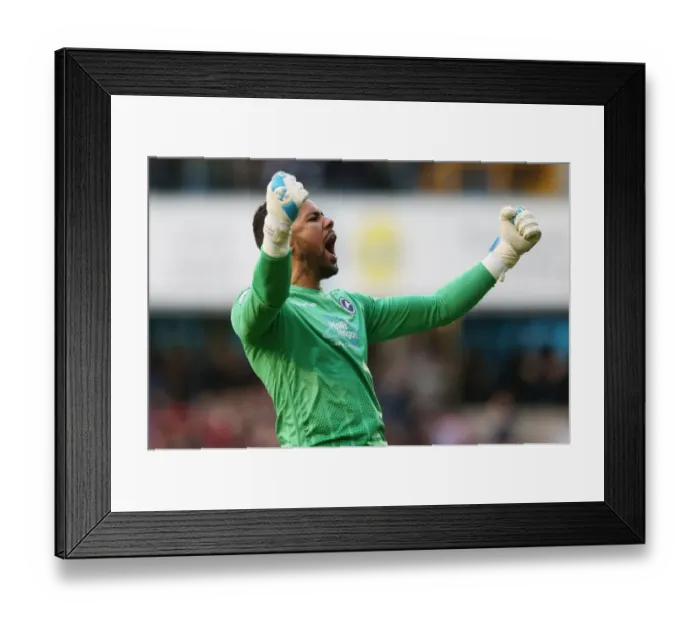 Framed Print : Millwall's Thrilling First Goal: Archer and Gregory Celebrate in the Sky Bet League One Play-Off Semi-Final against Bradford City (2015-16) Framed Print : Millwall's Thrilling First Goal: Archer and Gregory Celebrate in the Sky Bet League One Play-Off Semi-Final against Bradford City (2015-16)