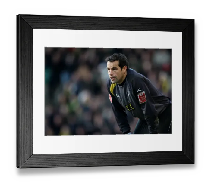 Framed Print : Millwall Goalkeeper David Forde in Action at Carrow Road during Norwich City vs Millwall in Football League One