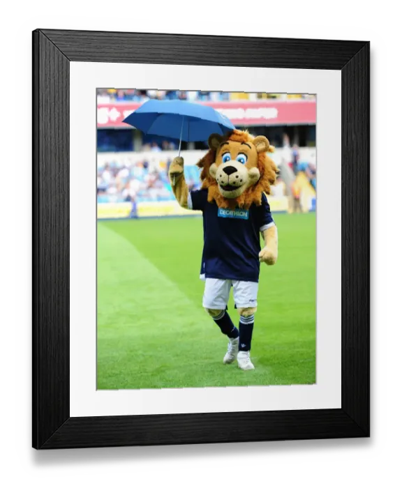Framed Print : Millwall vs Nottingham Forest: Steve McClaren's First Visit - Zampa the Lion's Welcome (Npower Football League Championship, August 13, 2011) Framed Print : Millwall vs Nottingham Forest: Steve McClaren's First Visit - Zampa the Lion's Welcome (Npower Football League Championship, August 13, 2011)