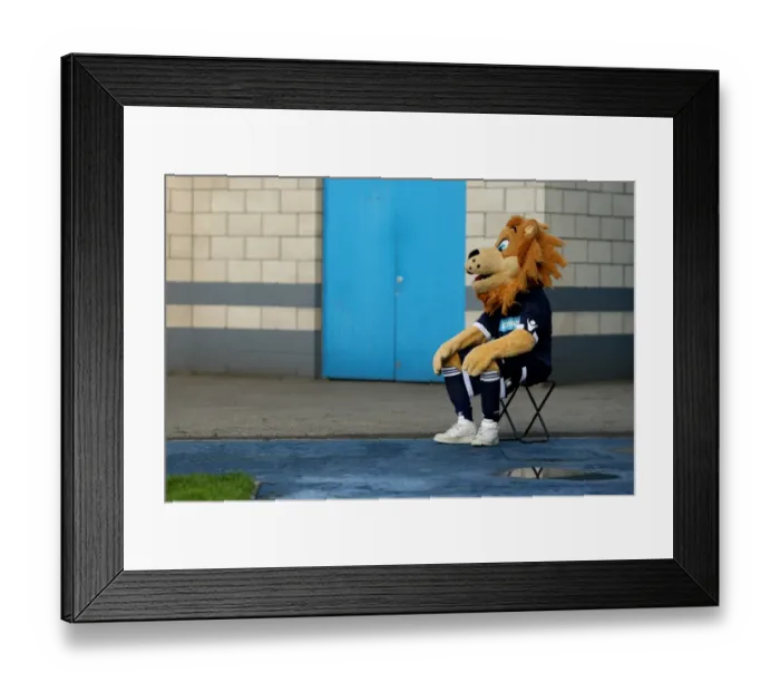 Framed Print : Millwall vs. Burnley: The Den - A Football Rivalry Unfolds with the Millwall Mascot in Attendance (Npower Football League Championship, October 1, 2011) Framed Print : Millwall vs. Burnley: The Den - A Football Rivalry Unfolds with the Millwall Mascot in Attendance (Npower Football League Championship, October 1, 2011)