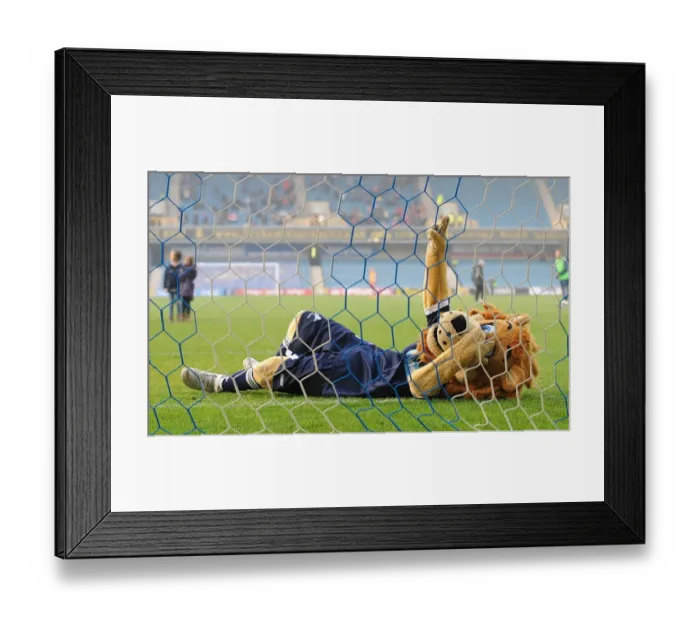 Framed Print : Millwall's Zampa the Lion Roars in Exciting Half-Time Penalty Shootout vs. Bristol City (2011) Framed Print : Millwall's Zampa the Lion Roars in Exciting Half-Time Penalty Shootout vs. Bristol City (2011)