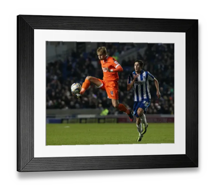 Framed Print : npower Football League Championship - Brighton and Hove Albion v Millwall - AMEX Stadium Framed Print : npower Football League Championship - Brighton and Hove Albion v Millwall - AMEX Stadium