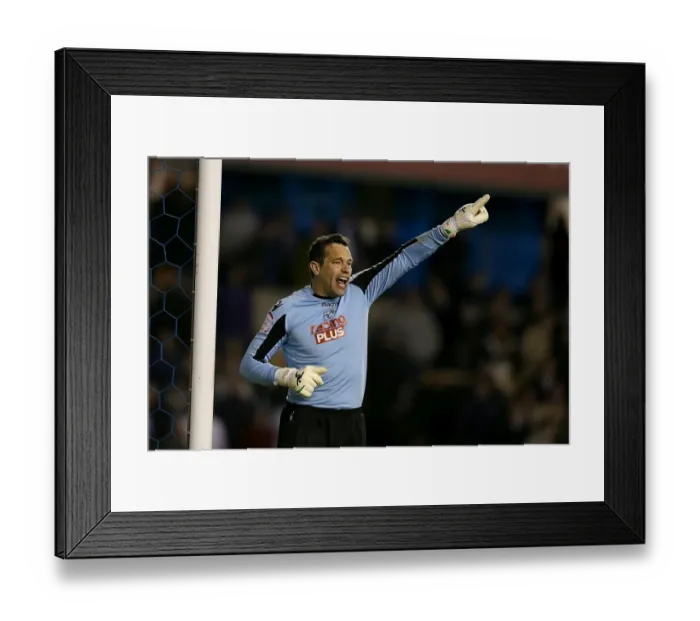 Framed Print : Millwall vs. Crystal Palace: David Forde's Dramatic Save in The Den (Npower Football League Championship, 30-04-2013) Framed Print : Millwall vs. Crystal Palace: David Forde's Dramatic Save in The Den (Npower Football League Championship, 30-04-2013)