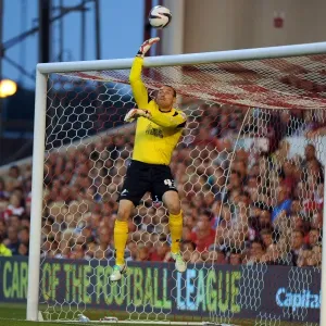 Season 2013-14 Prints: Capital One Cup