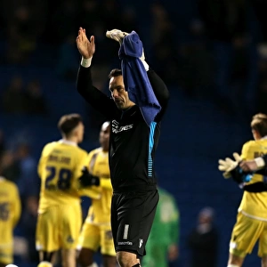 Millwall's David Forde Celebrates Championship Victory over Brighton & Hove Albion