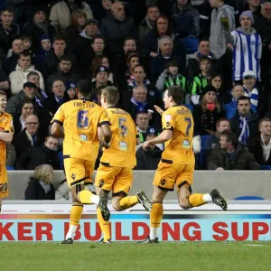 npower Football League Championship - Brighton and Hove Albion v Millwall - AMEX Stadium