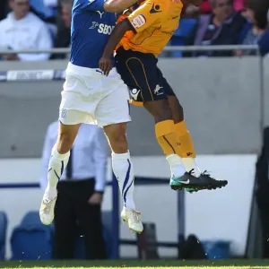 Soccer - npower Football League Championship - Cardiff City v Millwall - Cardiff City Stadium