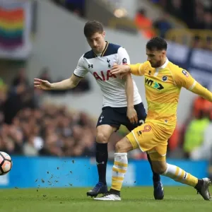 Emirates FA Cup Prints: Emirates FA Cup - Quarter Final - Tottenham Hotspur V Millwall - White Hart Lane