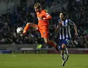 Images Dated 18th December 2012: npower Football League Championship - Brighton and Hove Albion v Millwall - AMEX Stadium