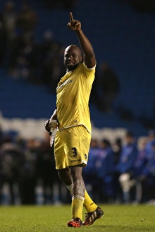 Sky Bet Championship Showdown: A Battle of the Titans - Danny Shittu vs Brighton & Hove Albion at AMEX Stadium